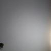 foto do perfil calbaixinho